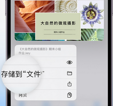 新抚apple维修中心分享iPhone文件应用中存储和找到下载文件