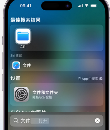 新抚apple维修中心分享iPhone文件应用中存储和找到下载文件