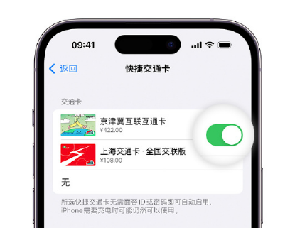 新抚apple维修点分享iPhone上更换Apple Pay快捷交通卡手绘卡面 