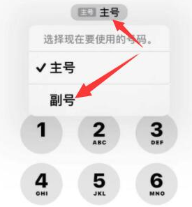 新抚苹果14维修店分享iPhone 14 Pro Max使用副卡打电话的方法 