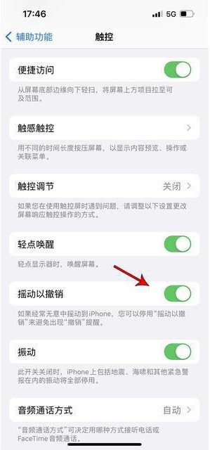 新抚苹果手机维修分享iPhone手机如何设置摇一摇删除文字 