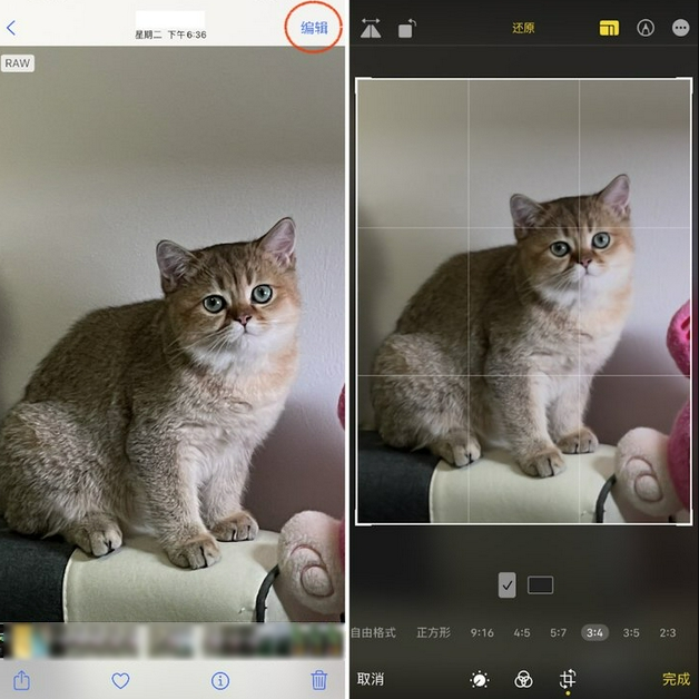 新抚苹果手机维修分享苹果 iPhone 12 Pro 拍照会过度锐化 